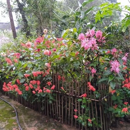 Meikha Homestay Pynursla Bagian luar foto