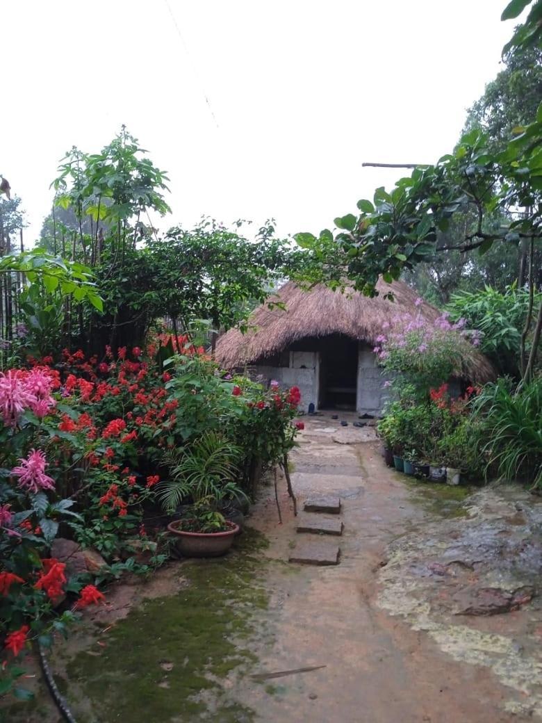 Meikha Homestay Pynursla Bagian luar foto