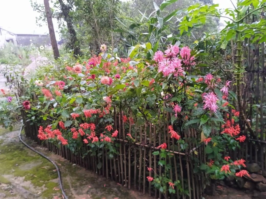 Meikha Homestay Pynursla Bagian luar foto